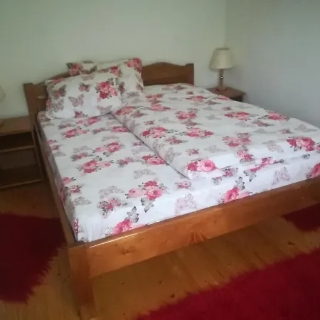 Pensiunea Muntele Gaina Agroturismo Tarsa (Avram Iancu)