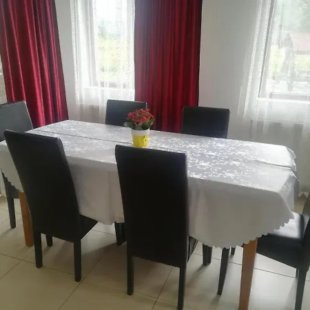 Pensiunea Muntele Gaina *