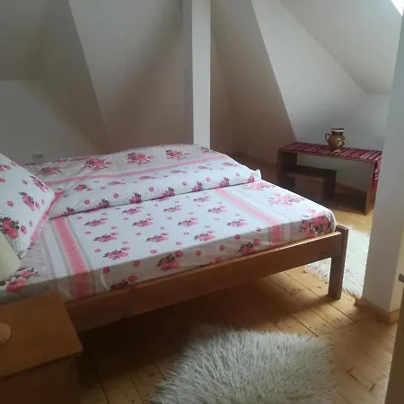 Pensiunea Muntele Gaina Vakantieboerderij *