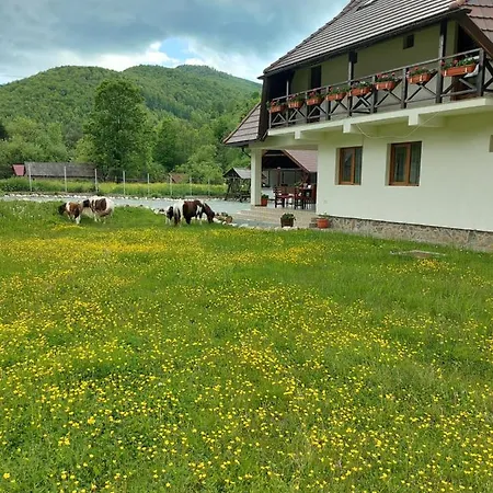 Pensiunea Muntele Gaina