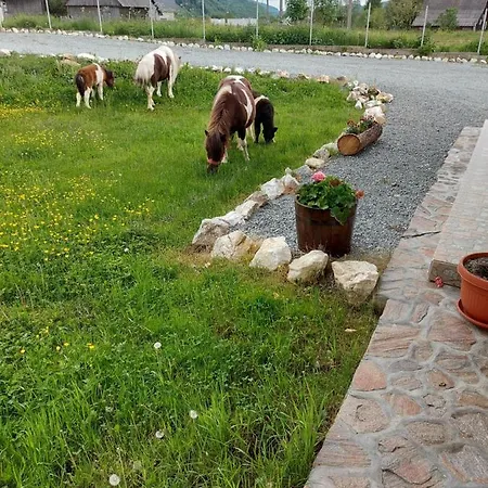 Agroturismo Pensiunea Muntele Gaina